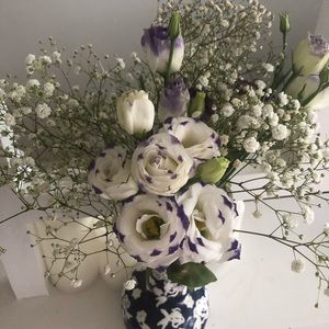 Meet your Posher, Azadeh